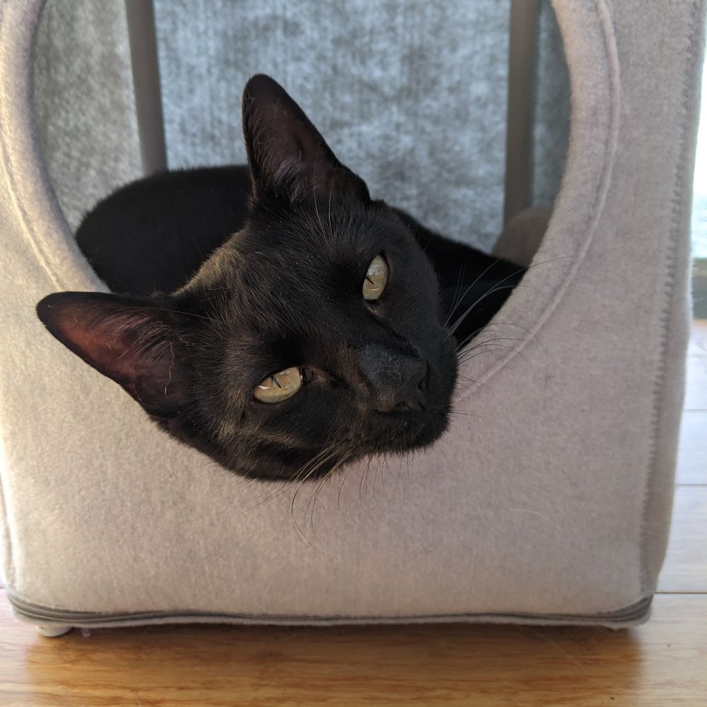 Meet your Posher, R. - Picture 11 of 11